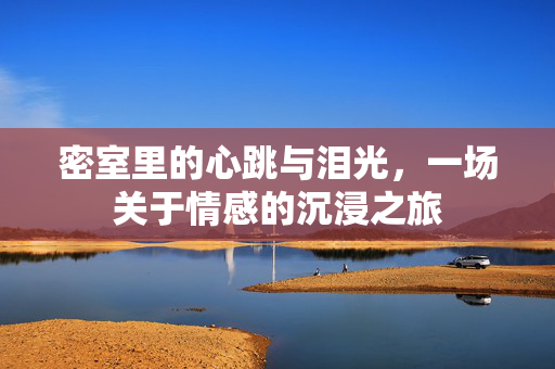 密室里的心跳与泪光，一场关于情感的沉浸之旅