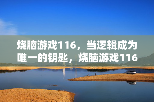 烧脑游戏116，当逻辑成为唯一的钥匙，烧脑游戏116，逻辑为钥