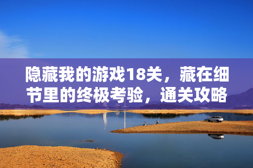 隐藏我的游戏18关，藏在细节里的终极考验，通关攻略与彩蛋全解析，隐藏我的游戏18关，细节终极考验与通关攻略彩蛋全解析