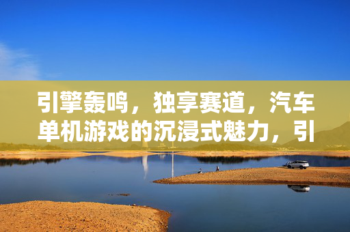 引擎轰鸣，独享赛道，汽车单机游戏的沉浸式魅力，引擎轰鸣独享赛道，沉浸魅力