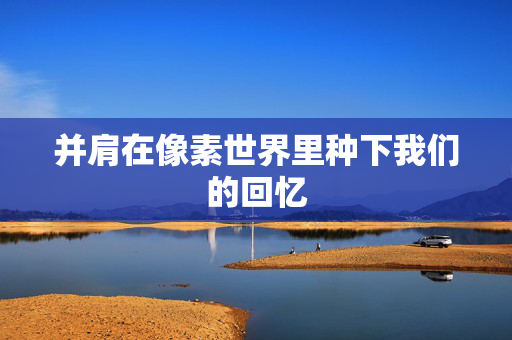 并肩在像素世界里种下我们的回忆