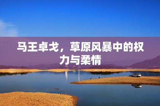 马王卓戈，草原风暴中的权力与柔情