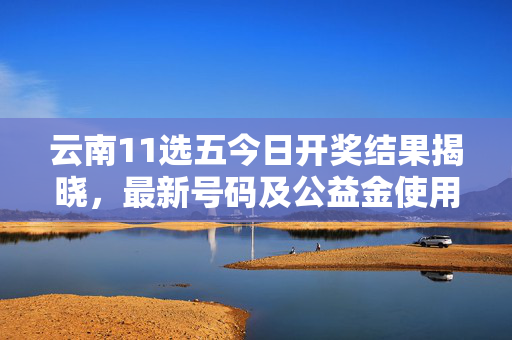 云南11选五今日开奖结果揭晓，最新号码及公益金使用方向解析