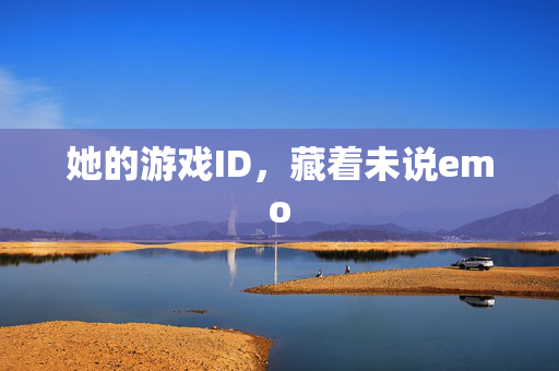 她的游戏ID，藏着未说emo