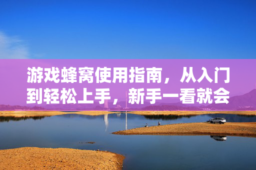 游戏蜂窝使用指南，从入门到轻松上手，新手一看就会，游戏蜂窝新手指南，轻松上手，一看就会