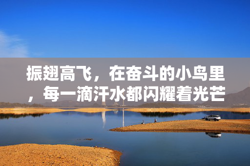振翅高飞，在奋斗的小鸟里，每一滴汗水都闪耀着光芒，奋斗小鸟振翅高飞，汗水闪耀光芒