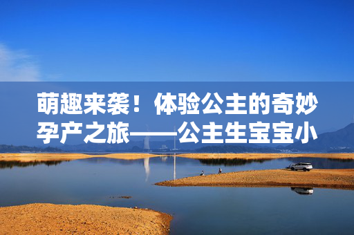 萌趣来袭！体验公主的奇妙孕产之旅——公主生宝宝小游戏全攻略，萌趣公主生宝宝小游戏全攻略