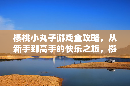 樱桃小丸子游戏全攻略，从新手到高手的快乐之旅，樱桃小丸子游戏全攻略，从新手到高手的快乐进阶