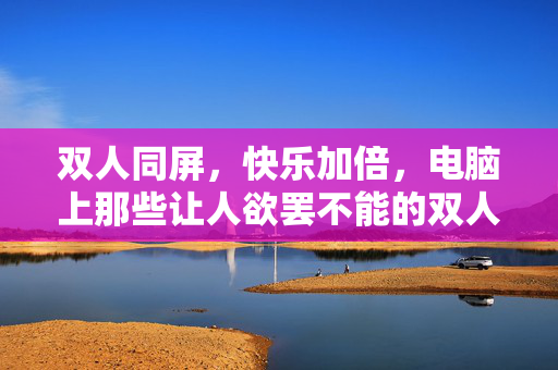 双人同屏，快乐加倍，电脑上那些让人欲罢不能的双人小游戏，双人同屏，快乐加倍，电脑上让人欲罢不能的双人小游戏