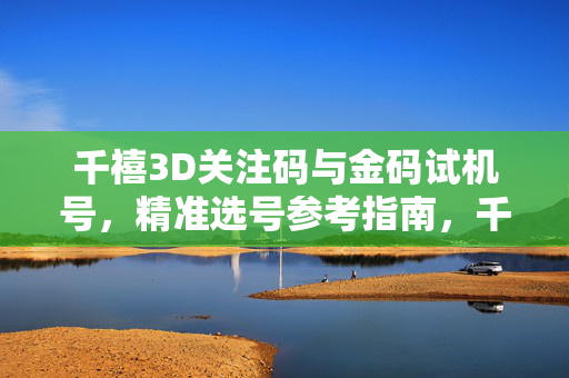 千禧3D关注码与金码试机号，精准选号参考指南，千禧3D关注码与金码试机号精准选号指南