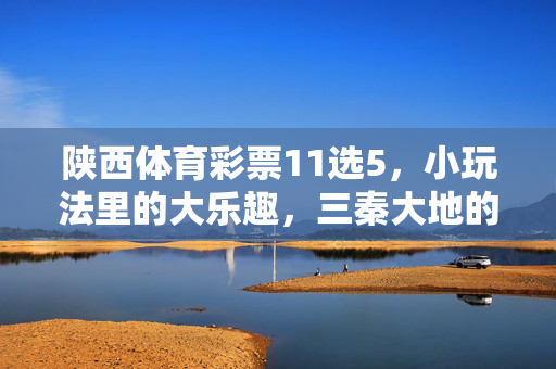 陕西体育彩票11选5，小玩法里的大乐趣，三秦大地的公益新风尚，陕西11选5，小玩法玩转三秦公益新风尚