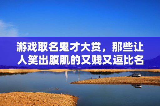 游戏取名鬼才大赏，那些让人笑出腹肌的又贱又逗比名字！游戏取名鬼才大赏，笑出腹肌的又贱又逗比名字