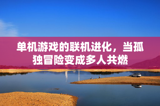 单机游戏的联机进化，当孤独冒险变成多人共燃