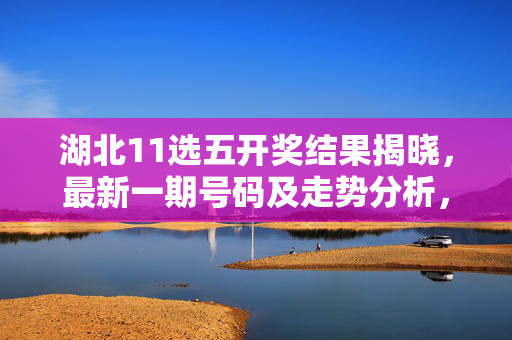 湖北11选五开奖结果揭晓，最新一期号码及走势分析，湖北11选五最新开奖结果及走势分析