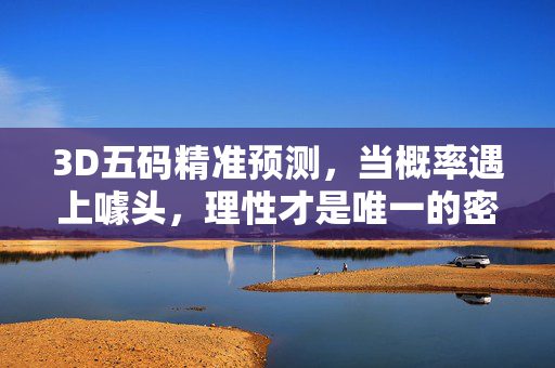 3D五码精准预测，当概率遇上噱头，理性才是唯一的密码，3D五码精准预测，噱头背后，理性是唯一密码