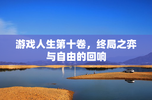 游戏人生第十卷，终局之弈与自由的回响