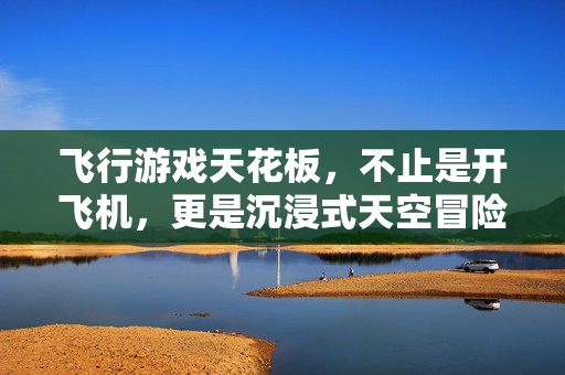 飞行游戏天花板，不止是开飞机，更是沉浸式天空冒险，飞行游戏天花板，沉浸式天空冒险