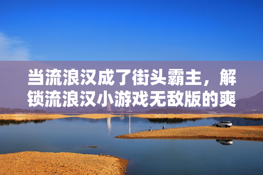 当流浪汉成了街头霸主，解锁流浪汉小游戏无敌版的爽感密码，流浪汉街头霸主，解锁无敌版爽感密码