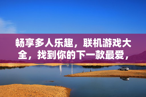 畅享多人乐趣，联机游戏大全，找到你的下一款最爱，联机游戏大全，畅享多人乐趣，找到你的下一款最爱