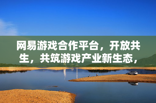 网易游戏合作平台，开放共生，共筑游戏产业新生态，网易游戏合作平台，开放共生，共筑游戏产业新生态