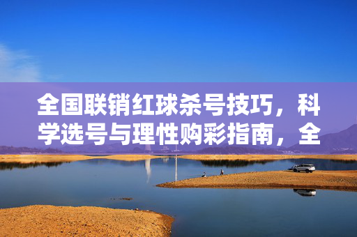 全国联销红球杀号技巧，科学选号与理性购彩指南，全国联销红球杀号技巧，科学选号与理性购彩指南