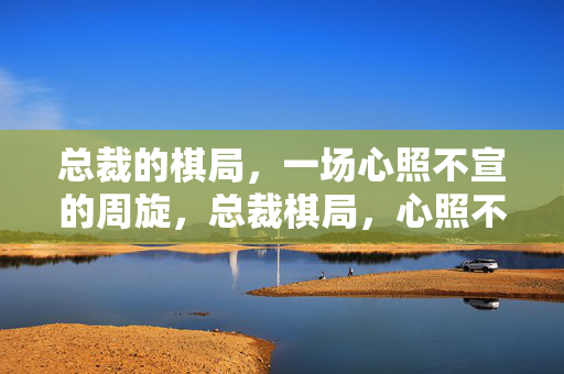 总裁的棋局,一场心照不宣的周旋,总裁棋局,心照不宣的周旋