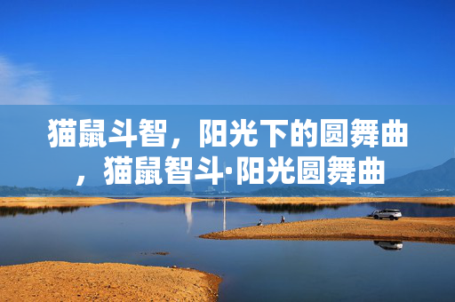 猫鼠斗智,阳光下的圆舞曲,猫鼠智斗·阳光圆舞曲