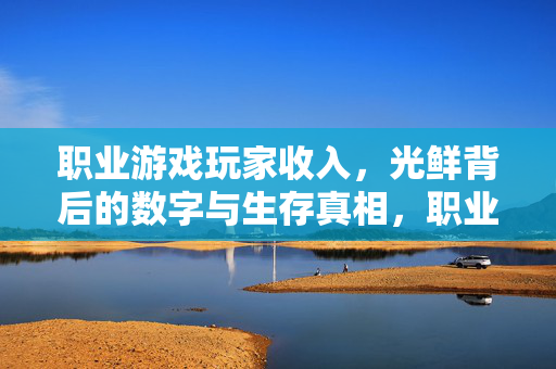 职业游戏玩家收入，光鲜背后的数字与生存真相，职业游戏玩家收入，光鲜背后的数字与生存真相