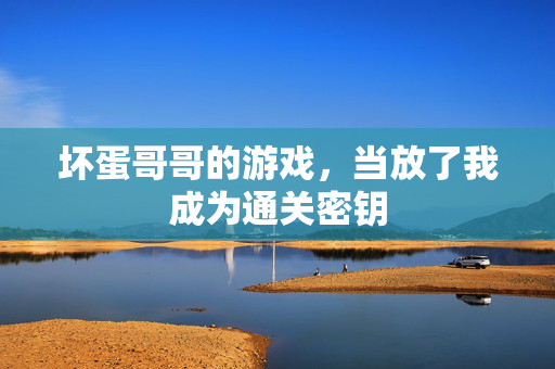 坏蛋哥哥的游戏，当放了我成为通关密钥