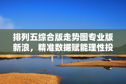 排列五综合版走势图专业版新浪，精准数据赋能理性投注，新浪排列五综合专业走势图，精准数据赋能理性投注
