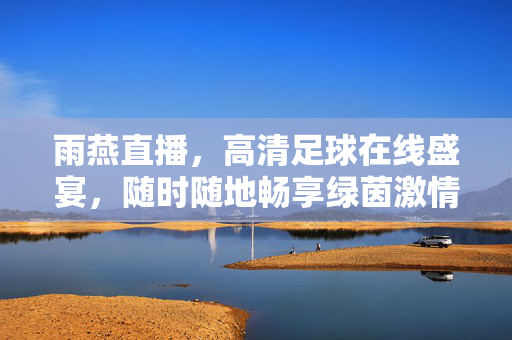 雨燕直播，高清足球在线盛宴，随时随地畅享绿茵激情，雨燕直播，高清足球盛宴，随时随地畅享绿茵激情