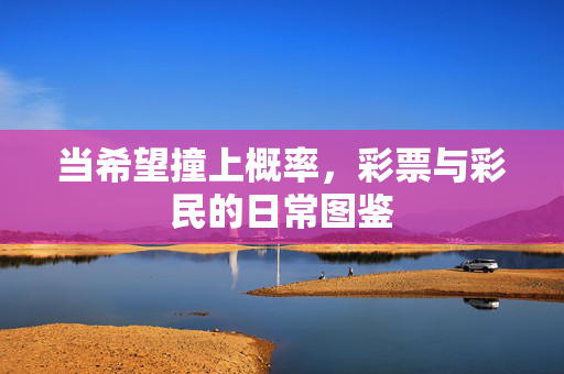 当希望撞上概率，彩票与彩民的日常图鉴
