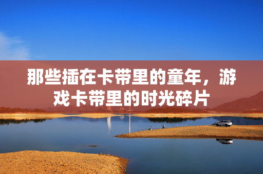 那些插在卡带里的童年，游戏卡带里的时光碎片