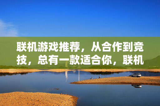 联机游戏推荐，从合作到竞技，总有一款适合你，联机游戏推荐，从合作到竞技，总有一款适合你