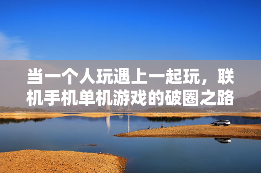 当一个人玩遇上一起玩，联机手机单机游戏的破圈之路，单机遇联机，手机游戏的破圈之路
