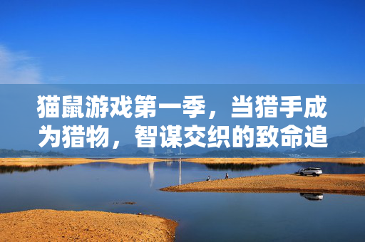 猫鼠游戏第一季，当猎手成为猎物，智谋交织的致命追逐，猫鼠游戏第一季，猎手成为猎物的致命智谋追逐
