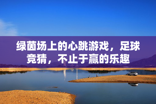 绿茵场上的心跳游戏，足球竞猜，不止于赢的乐趣