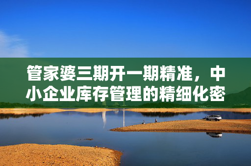 管家婆三期开一期精准，中小企业库存管理的精细化密码，管家婆三期开一期精准，中小企业库存管理精细化密码