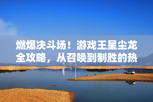 燃爆决斗场！游戏王星尘龙全攻略，从召唤到制胜的热血之路，燃爆决斗场！星尘龙召唤到制胜全攻略