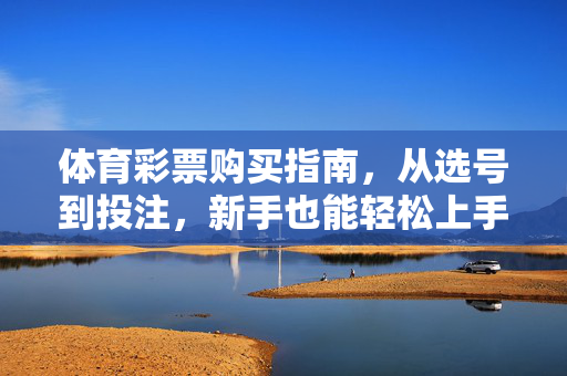 体育彩票购买指南，从选号到投注，新手也能轻松上手，体育彩票新手指南，选号投注轻松上手