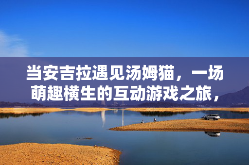 当安吉拉遇见汤姆猫，一场萌趣横生的互动游戏之旅，安吉拉与汤姆猫的萌趣互动之旅