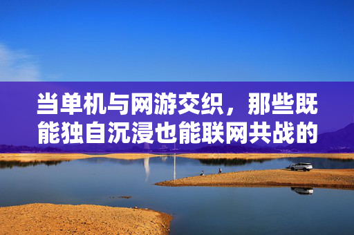 当单机与网游交织，那些既能独自沉浸也能联网共战的双面游戏大全