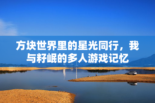方块世界里的星光同行，我与籽岷的多人游戏记忆
