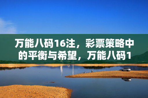 万能八码16注，彩票策略中的平衡与希望，万能八码16注，彩票策略的平衡与希望