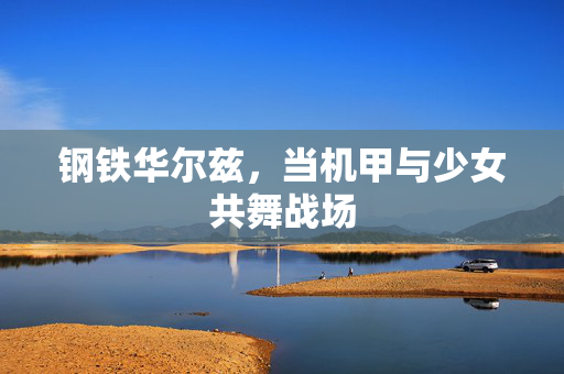 钢铁华尔兹，当机甲与少女共舞战场
