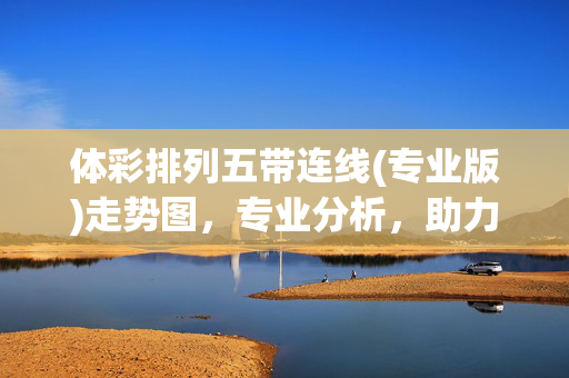 体彩排列五带连线(专业版)走势图，专业分析，助力理性投注