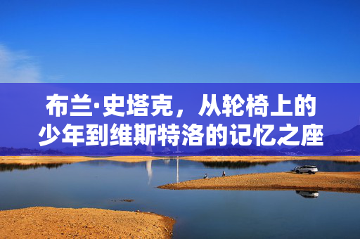 布兰·史塔克，从轮椅上的少年到维斯特洛的记忆之座，布兰·史塔克，轮椅少年到维斯特洛记忆之座