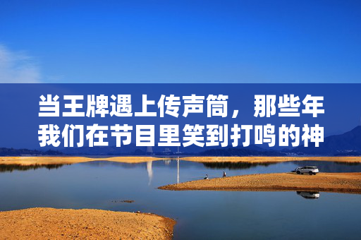 当王牌遇上传声筒，那些年我们在节目里笑到打鸣的神级翻车，王牌传声筒，笑到打鸣的神级翻车现场