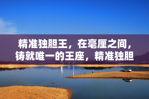 精准独胆王，在毫厘之间，铸就唯一的王座，精准独胆王，毫厘铸就唯一王座