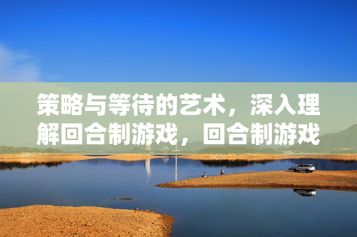 策略与等待的艺术，深入理解回合制游戏，回合制游戏，策略与等待的艺术